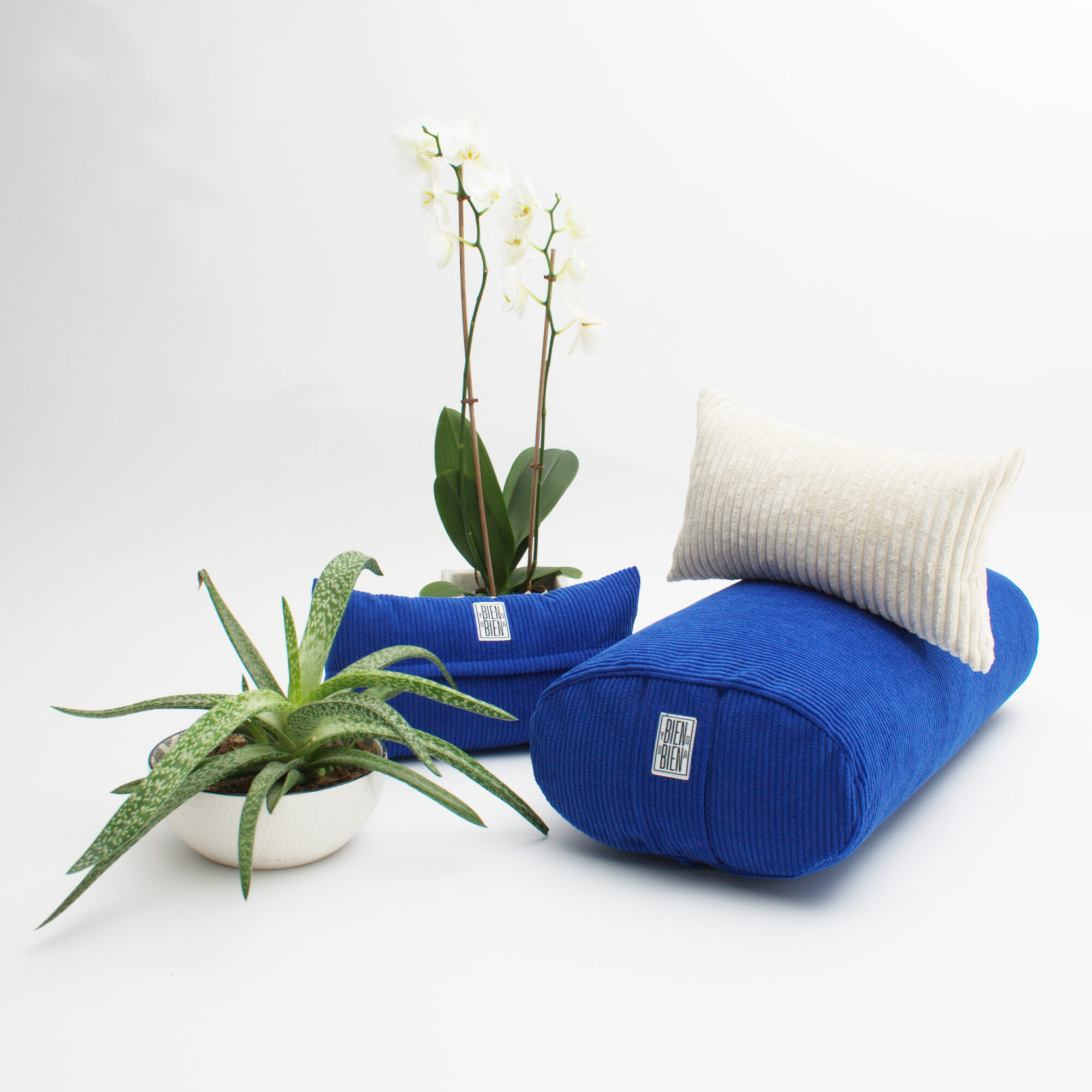 BOLSTER OVALE <br> VELVET BLEU KLEIN