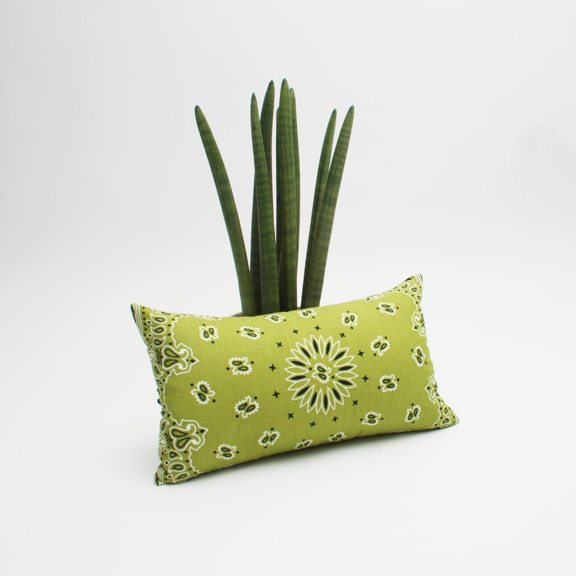 COUSSIN VOYAGE <br> PAISLEY OLIVE